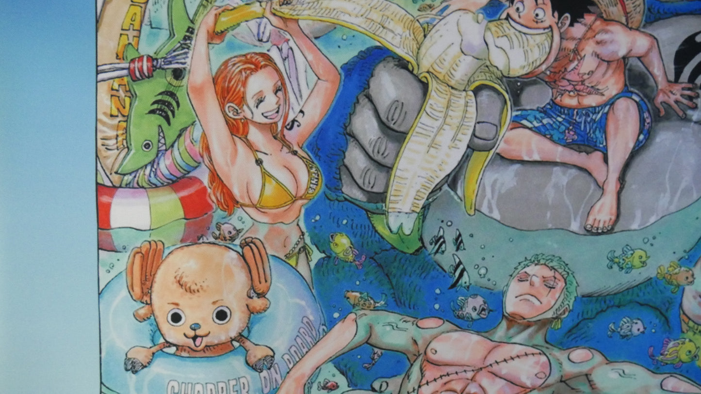 Straw Hats Color Spread Nami Robin Usopp Sanji Luffy Zoro Franky Vivi Brook